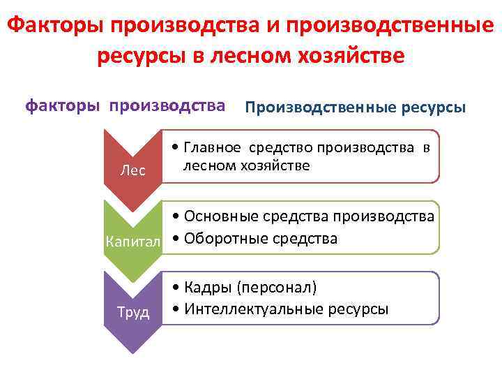 Факторы производства и производственные ресурсы в лесном хозяйстве факторы производства Производственные ресурсы Лес •