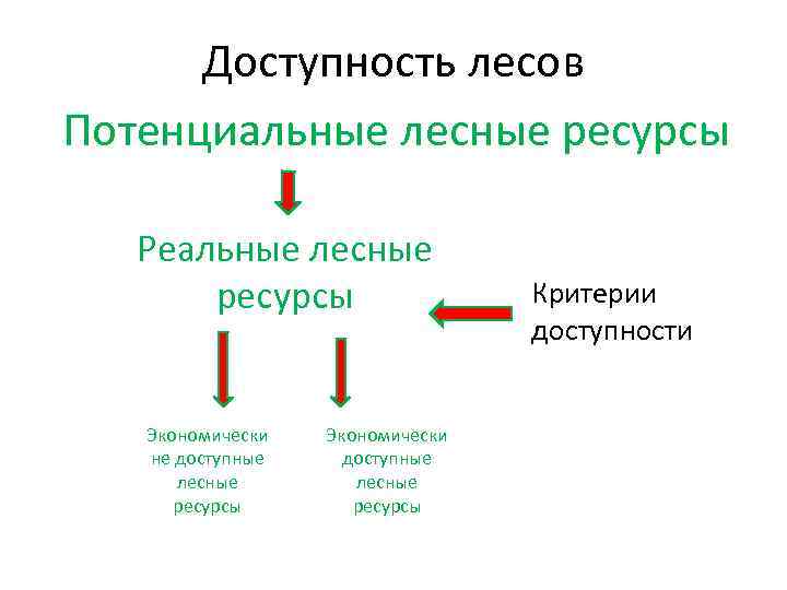 Доступность лесов Потенциальные лесные ресурсы Реальные лесные ресурсы Экономически не доступные лесные ресурсы Экономически