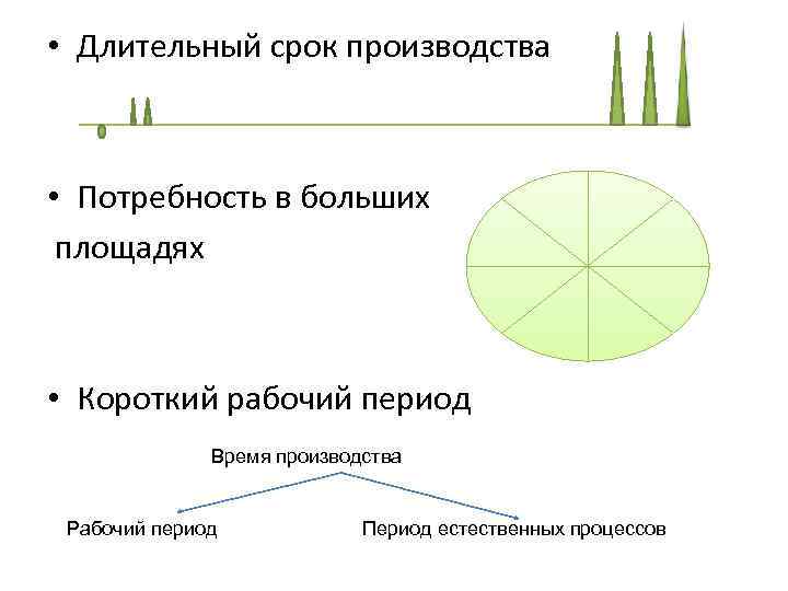  • Длительный срок производства • Потребность в больших площадях • Короткий рабочий период