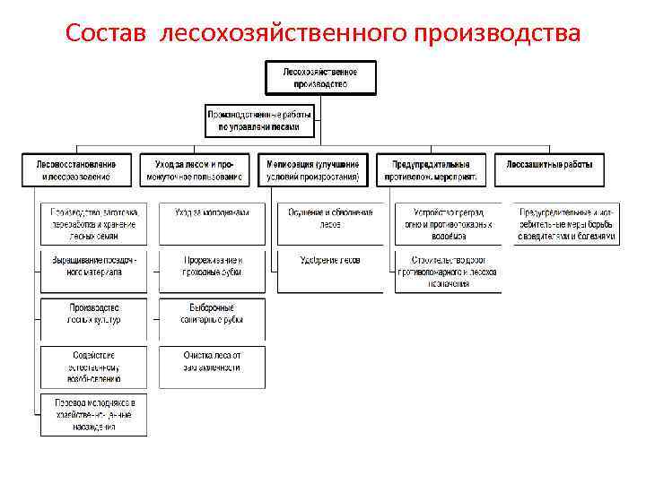 Состав лесохозяйственного производства 