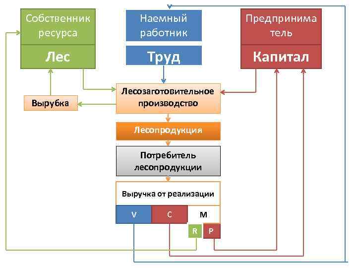 Собственник ресурса Наемный работник Предпринима тель Лес Труд Капитал Вырубка Лесозаготовительное производство Лесопродукция Потребитель