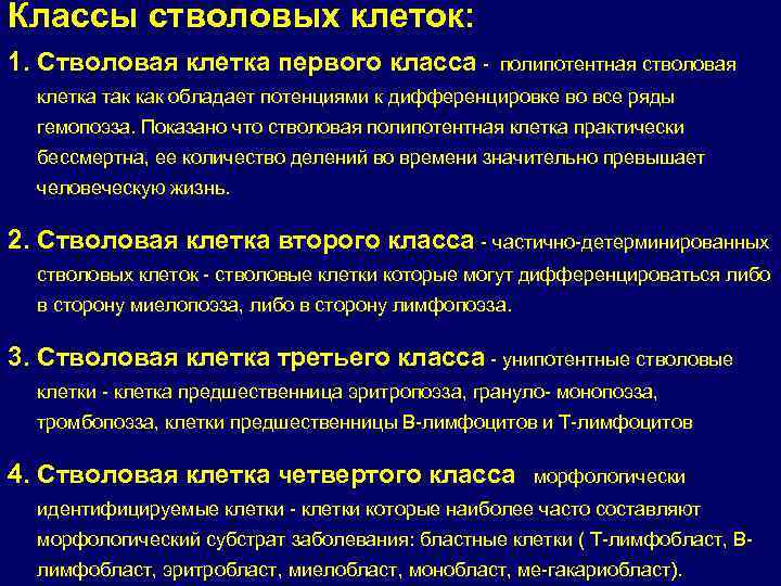 Классы стволовых клеток: 1. Стволовая клетка первого класса - полипотентная стволовая клетка так как