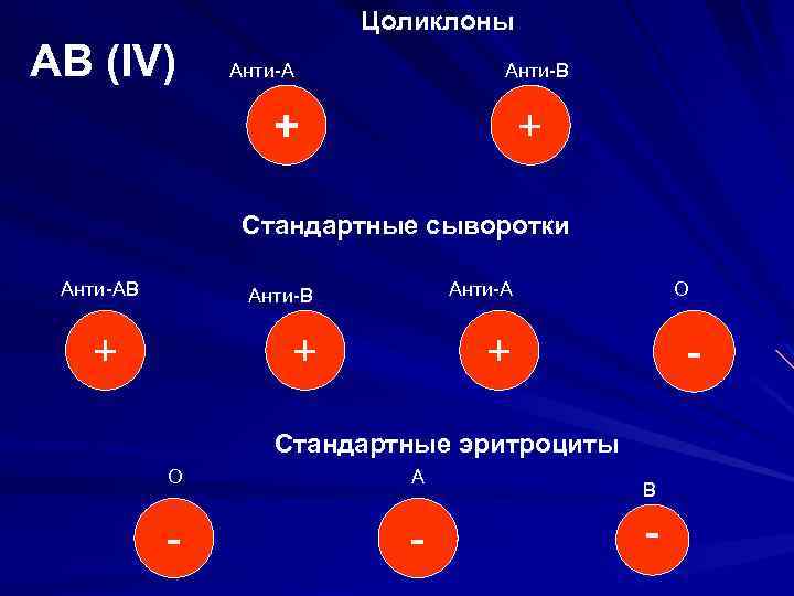 Цоликлоны АВ (IV) Анти-А Анти-В + + Стандартные сыворотки Анти-АВ Анти-В + + Анти-А