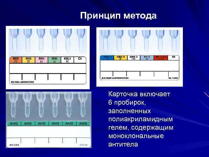 Принцип метода Карточка включает 6 пробирок, заполненных полиакриламидным гелем, содержащим моноклональные антитела 