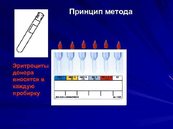 Принцип метода Эритроциты донора вносятся в каждую пробирку 