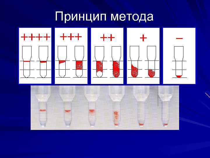 Принцип метода 