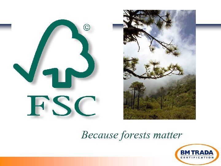 Because forests matter 