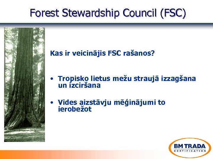 Forest Stewardship Council (FSC) Kas ir veicinājis FSC rašanos? • Tropisko lietus mežu straujā