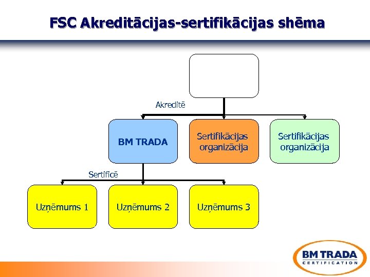 FSC Akreditācijas-sertifikācijas shēma Akreditē BM TRADA Sertifikācijas organizācija Uzņēmums 2 Uzņēmums 3 Sertificē Uzņēmums
