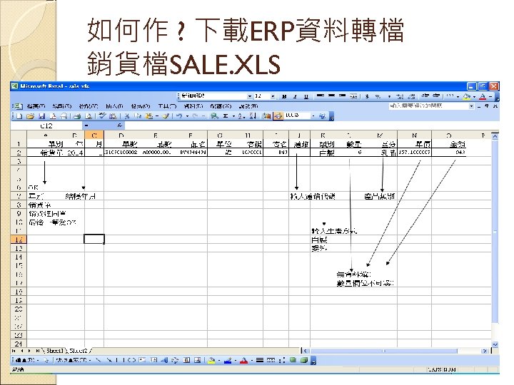 如何作 ? 下載ERP資料轉檔 銷貨檔SALE. XLS 