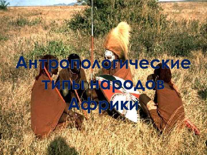 Антропологические типы народов Африки 