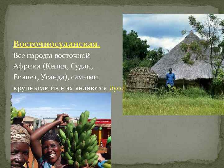 Восточносуданская. Все народы восточной Африки (Кения, Судан, Египет, Уганда), самыми крупными из них являются