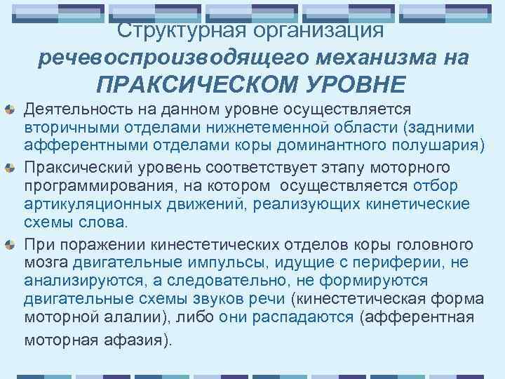 Структурная организация речевоспроизводящего механизма на ПРАКСИЧЕСКОМ УРОВНЕ Деятельность на данном уровне осуществляется вторичными отделами