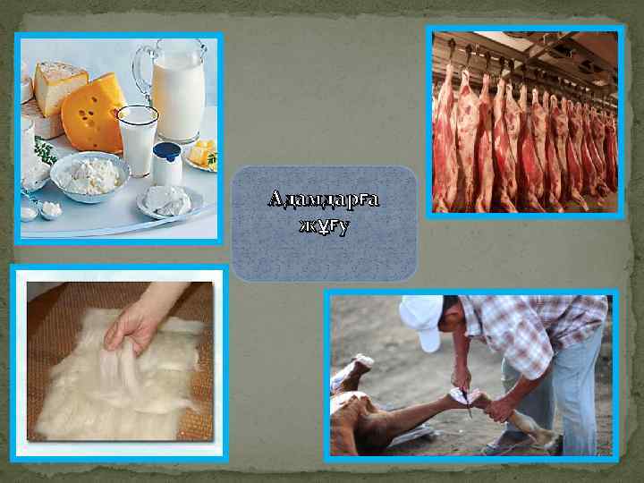 Адамдарға жұғу 