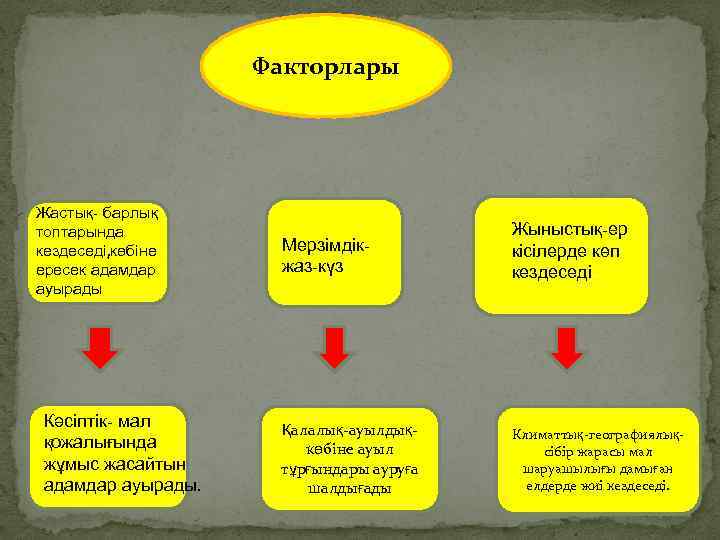 Факторлары Жастық- барлық топтарында кездеседі, көбіне ересек адамдар ауырады Кәсіптік- мал қожалығында жұмыс жасайтын