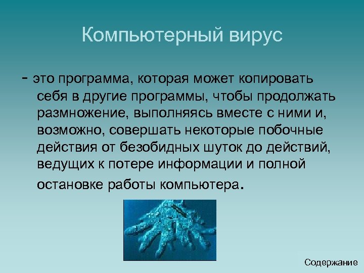 Компьютерный вирус - это программа, которая может копировать себя в другие программы, чтобы продолжать