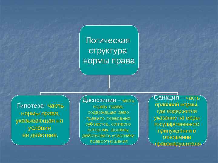 Логическая структура нормы права Гипотеза- часть нормы права, указывающая на условия ее действия. Диспозиция