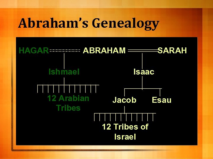 Abraham’s Genealogy HAGAR ABRAHAM Ishmael 12 Arabian Tribes SARAH Isaac Jacob 12 Tribes of