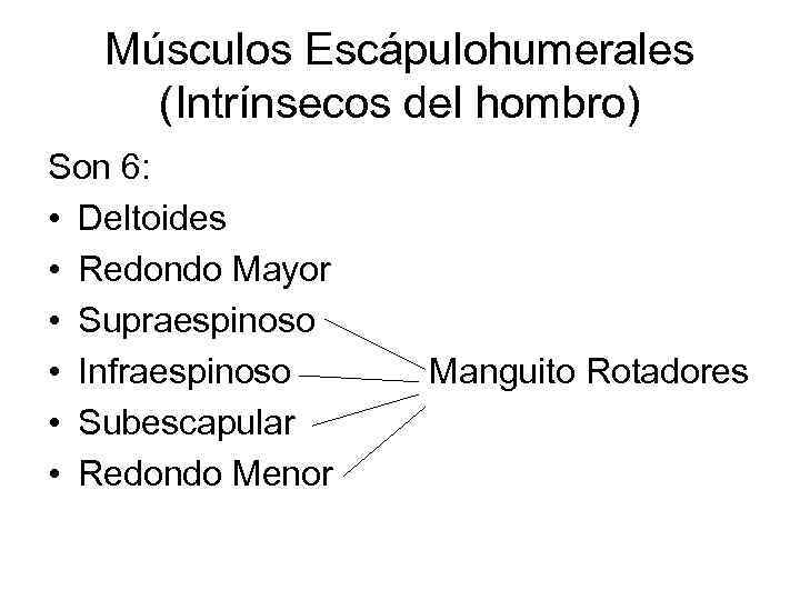 Músculos Escápulohumerales (Intrínsecos del hombro) Son 6: • Deltoides • Redondo Mayor • Supraespinoso