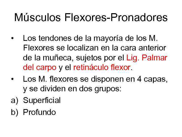 Músculos Flexores-Pronadores • Los tendones de la mayoría de los M. Flexores se localizan