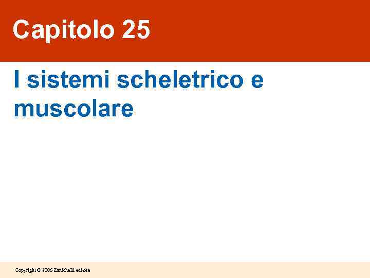 Capitolo 25 I sistemi scheletrico e muscolare Copyright © 2006 Zanichelli editore 
