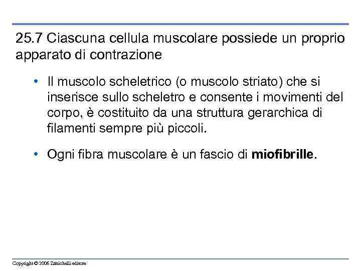 25. 7 Ciascuna cellula muscolare possiede un proprio apparato di contrazione • Il muscolo