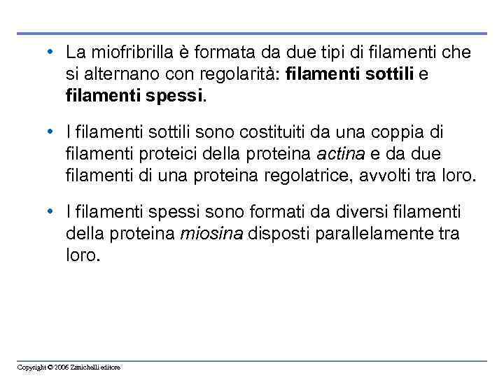  • La miofribrilla è formata da due tipi di filamenti che si alternano