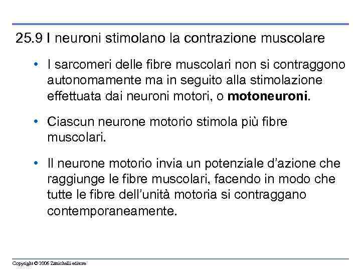 25. 9 I neuroni stimolano la contrazione muscolare • I sarcomeri delle fibre muscolari