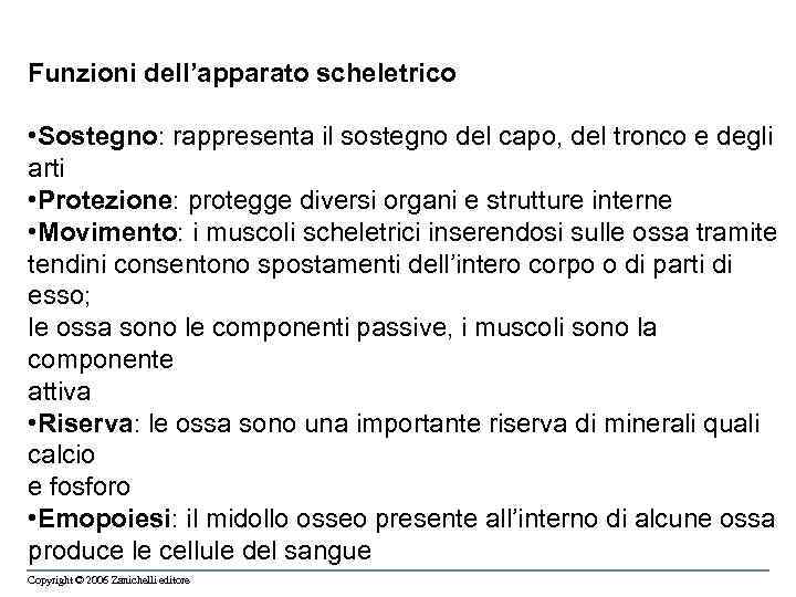 Funzioni dell’apparato scheletrico • Sostegno: rappresenta il sostegno del capo, del tronco e degli
