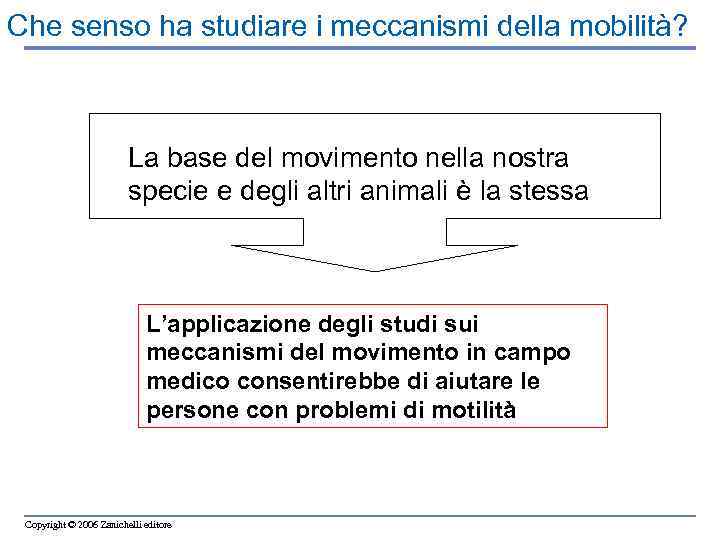 Che senso ha studiare i meccanismi della mobilità? La base del movimento nella nostra