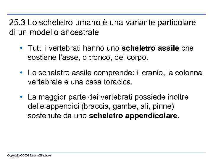 25. 3 Lo scheletro umano è una variante particolare di un modello ancestrale •