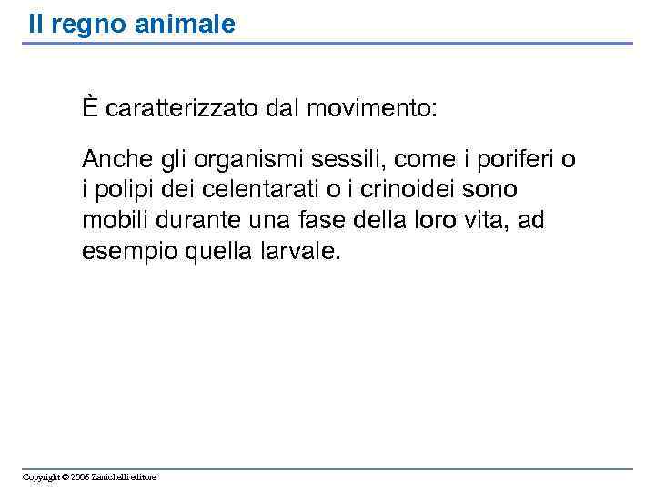 Il regno animale È caratterizzato dal movimento: Anche gli organismi sessili, come i poriferi