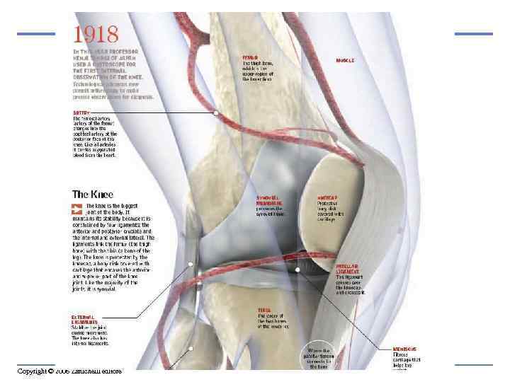 Copyright © 2006 Zanichelli editore 