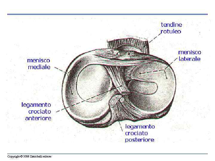 Copyright © 2006 Zanichelli editore 