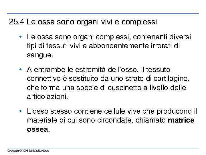 25. 4 Le ossa sono organi vivi e complessi • Le ossa sono organi