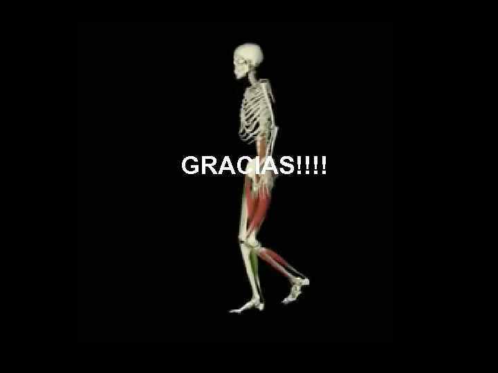 GRACIAS!!!! 
