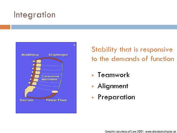 Integration * Stability that is responsive to the demands of function § § §