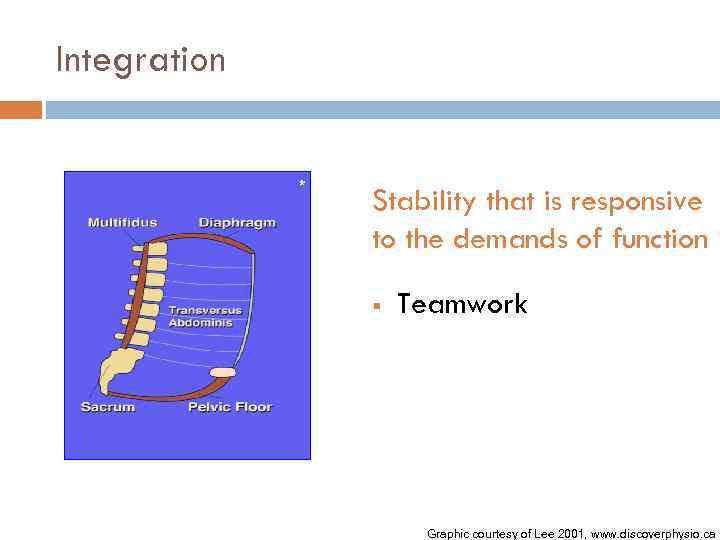 Integration * Stability that is responsive to the demands of function § Teamwork Graphic