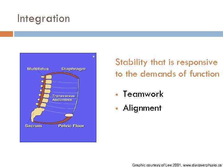 Integration * Stability that is responsive to the demands of function § § Teamwork