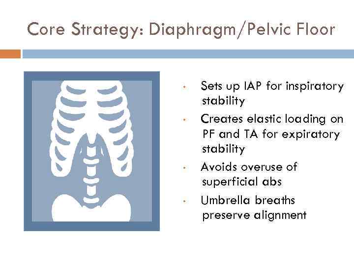 Core Strategy: Diaphragm/Pelvic Floor • • Sets up IAP for inspiratory stability Creates elastic