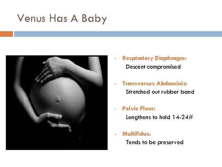 Venus Has A Baby • Respiratory Diaphragm: Descent compromised • Transversus Abdominis: Stretched out