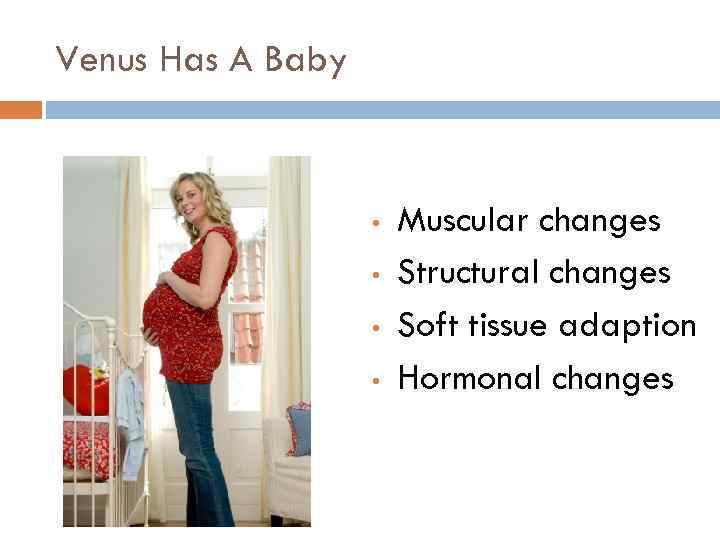 Venus Has A Baby • • Muscular changes Structural changes Soft tissue adaption Hormonal