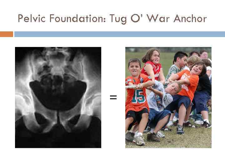 Pelvic Foundation: Tug O’ War Anchor = 