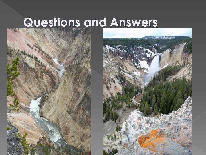 Questions and Answers 