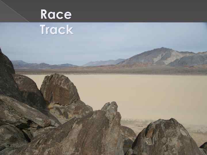 Race Track 