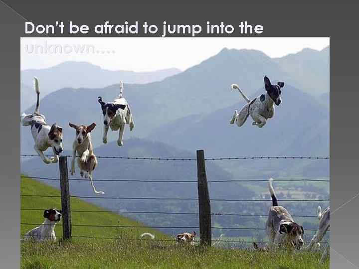Don’t be afraid to jump into the unknown…. 
