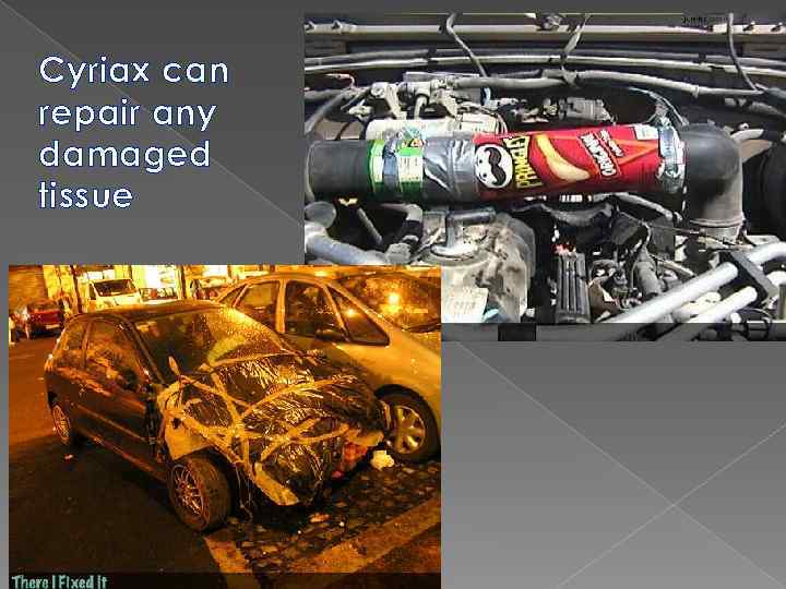 Cyriax can repair any damaged tissue 