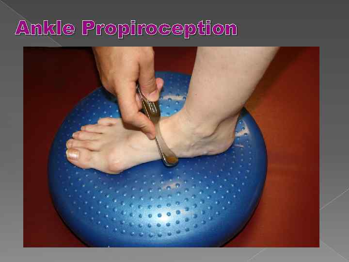 Ankle Propiroception 