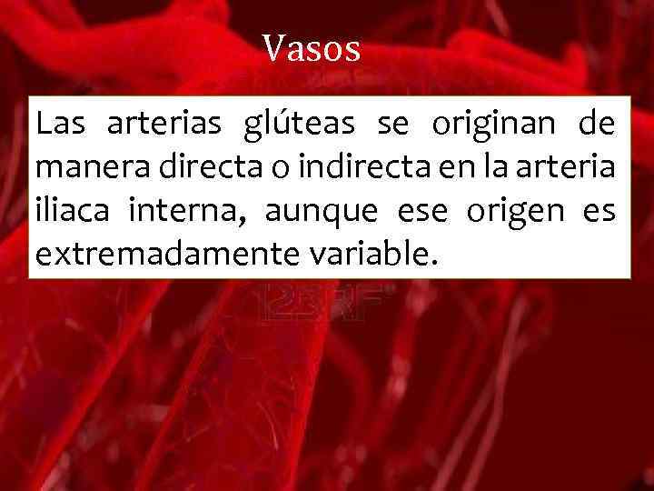 Vasos Las arterias glúteas se originan de manera directa o indirecta en la arteria