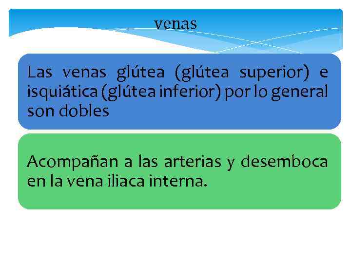 venas Las venas glútea (glútea superior) e isquiática (glútea inferior) por lo general son